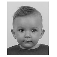 biometrisches passbild baby 